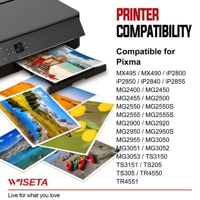 545 546 XL Remanufactured WISETA Ink Cartridges 2 Pack Compatible with CANON PG-545/CL-546XL for Pixma MX495 MX490 iP2800