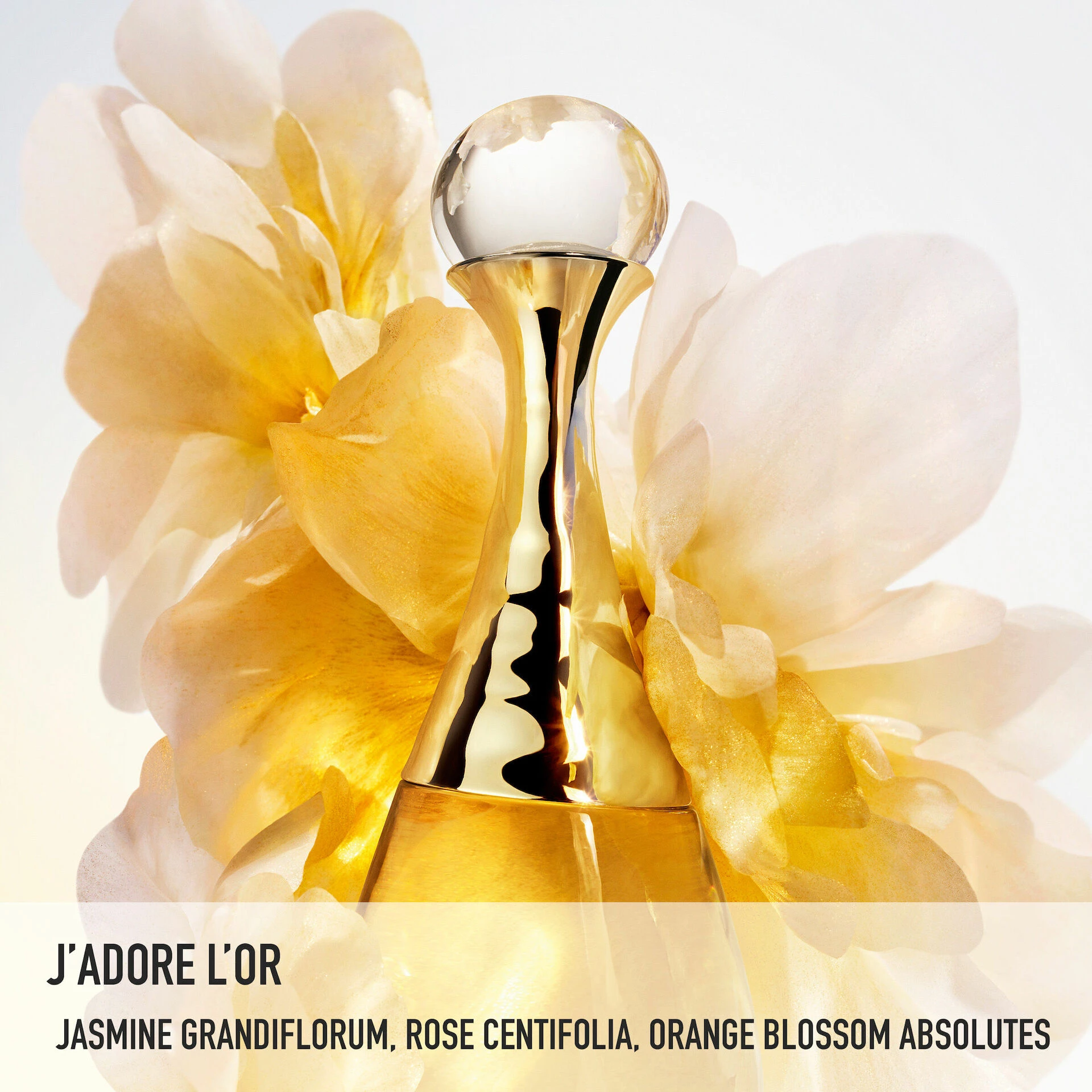 J'adore L'Or 50 ml - DIOR