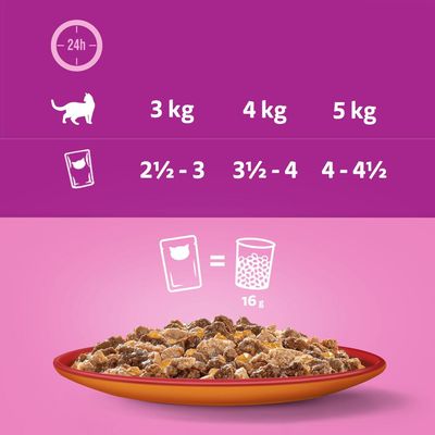 Whiskas 1+ Duo Meaty Combos v želé