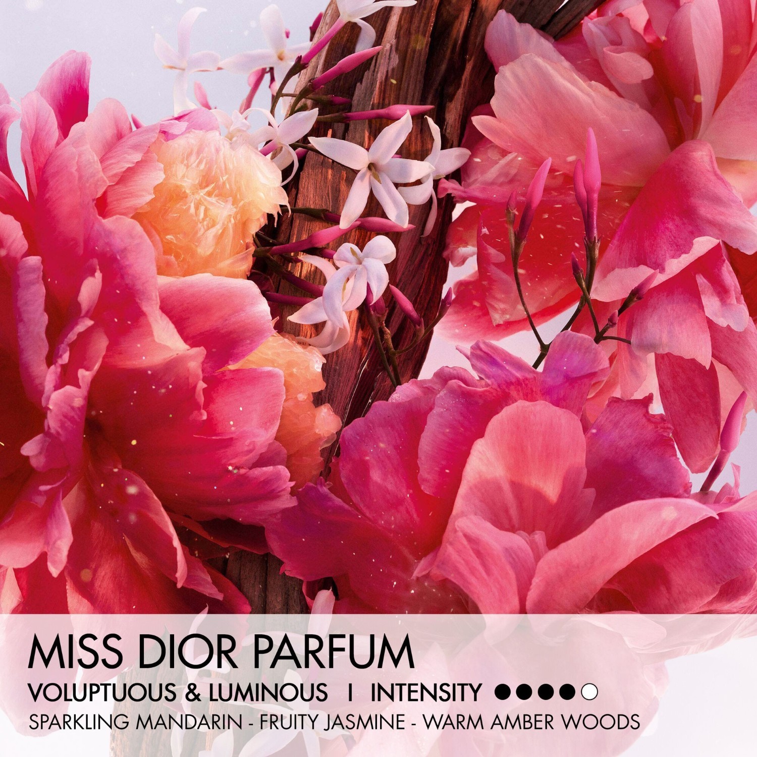 DIOR Miss Dior Parfum Roller-Pearl - 20 ml