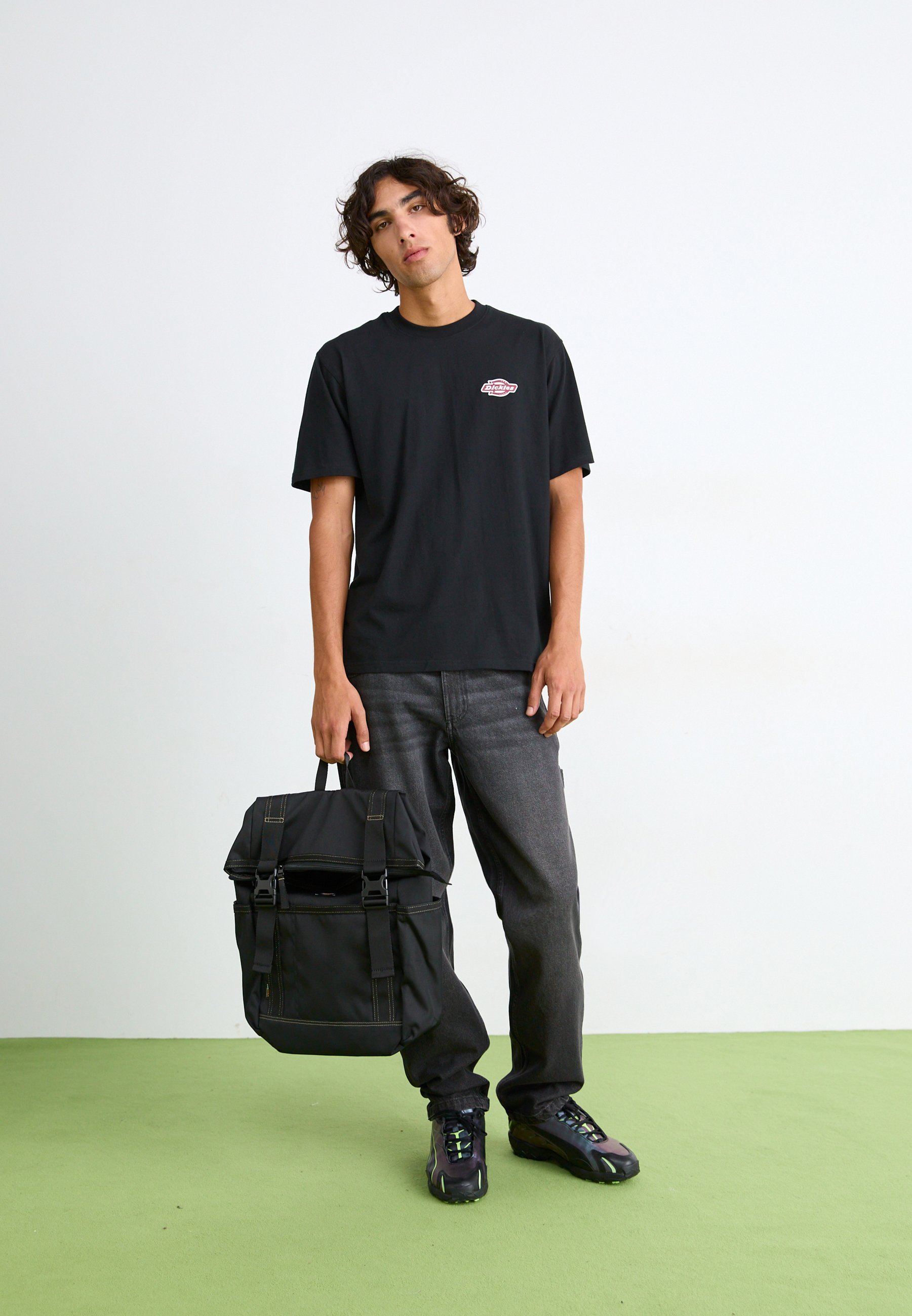 T-shirt stampate Dickies