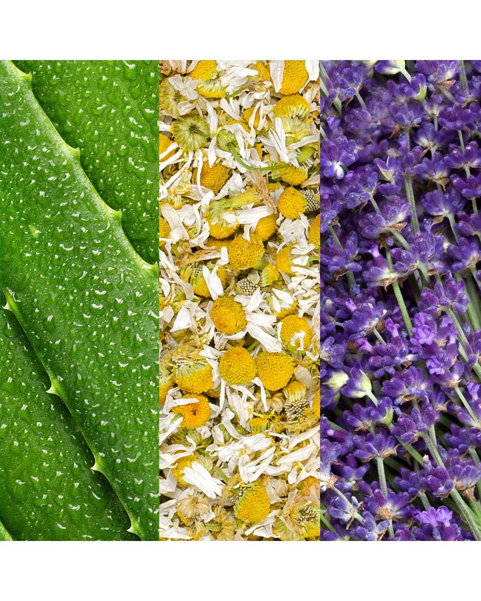 MARIO BADESCU veido purškiklis VEIDO PURŠKALAS SU ALAVIJU, RAMUNĖLĖMIS IR LEVANDOMIS 59 ML