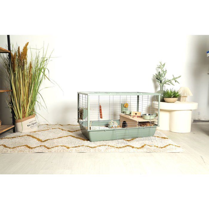 ZOLUX Cage grillagée cochon d'inde et rongeur Néolife - 80 x 52,5 x 48 cm  - Vert