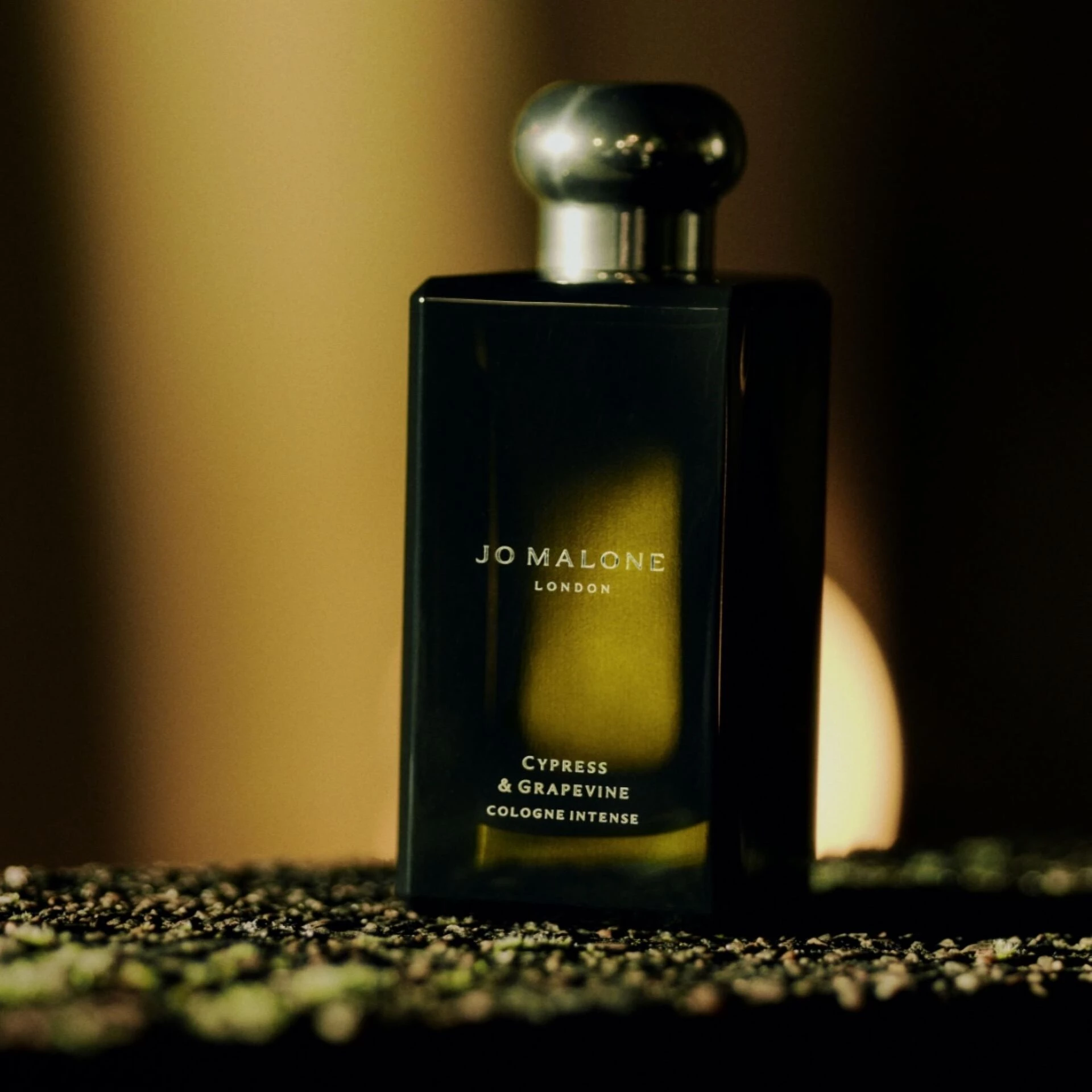 Intenzivna kolonjska voda od čempresa i grožđa 100 ml - Jo Malone London