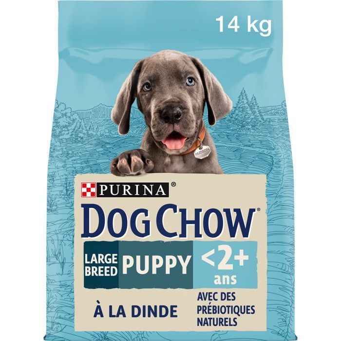 Dog Chow Puppy Large Breed with Turkey - 14 KG - Puppy Kibble