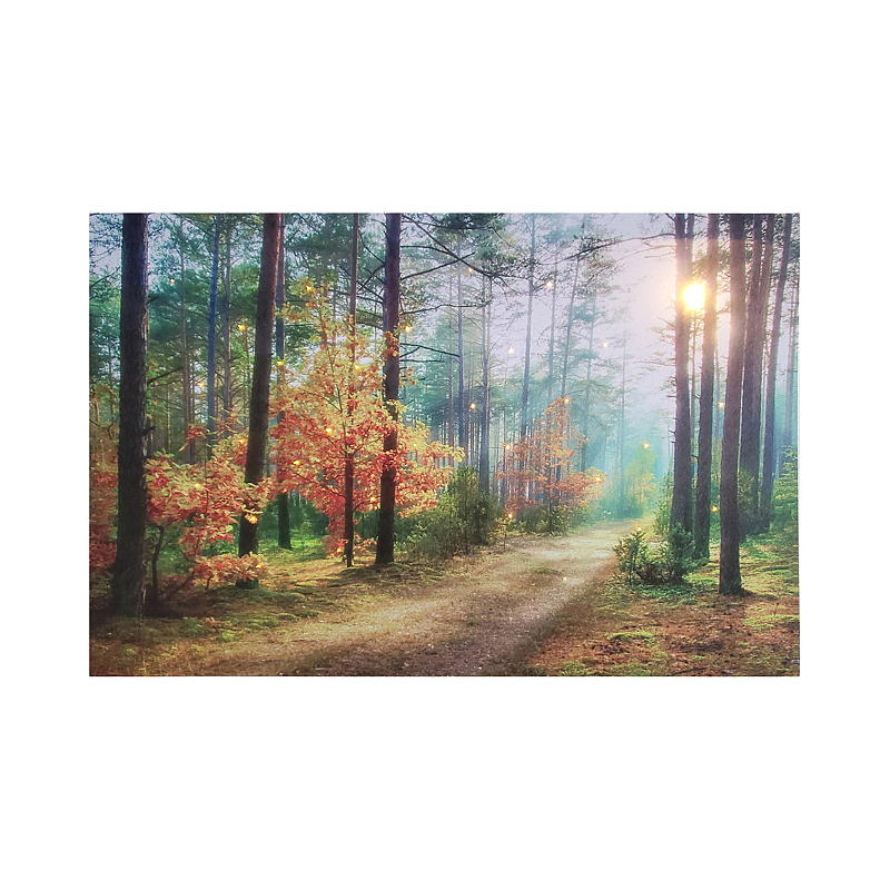 Hjem Lerretsbilde 38x58 cm LED/fiberoptikk Høst