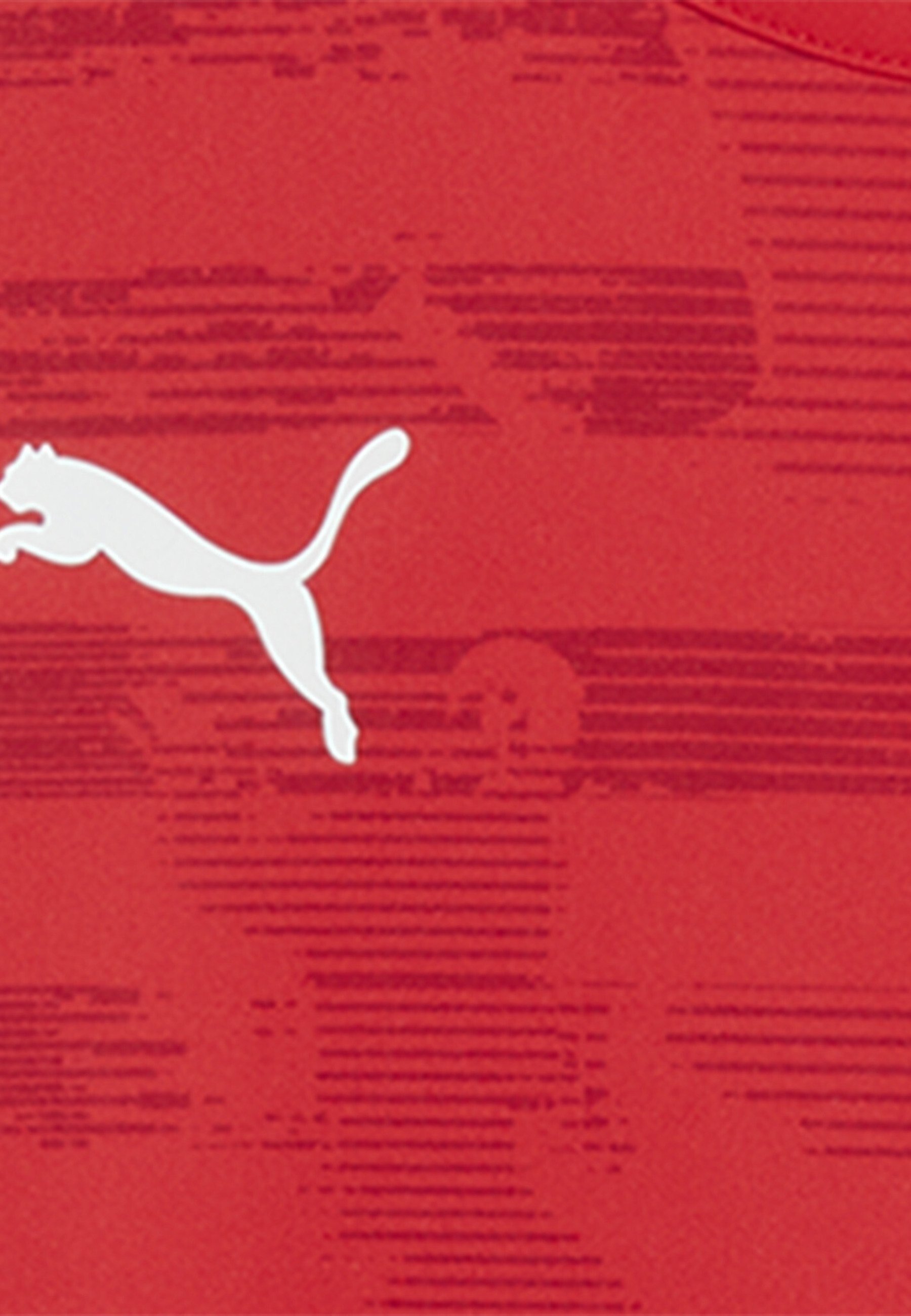 Puma INDIVIDUELE RISE - T-shirt met print - Puma rood