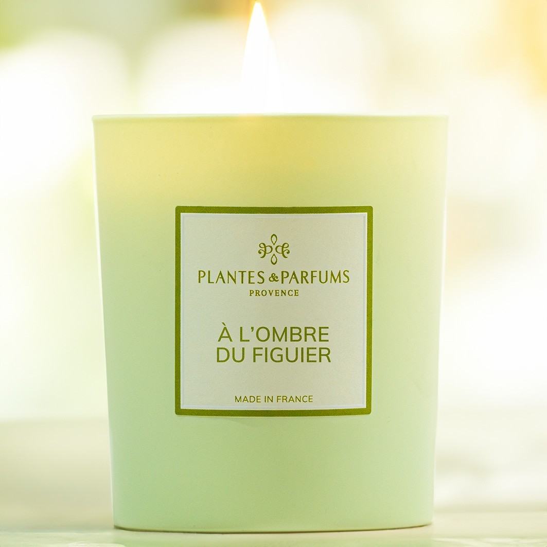Plantes & Parfums A l'Ombre du Figuier