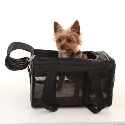 Trasportino per animali Sherpa® Original Deluxe