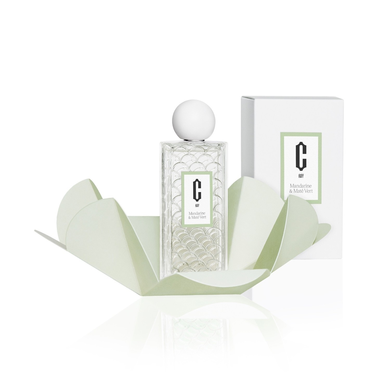 Carlotha Ray MANDARINE & MATÉ VERT