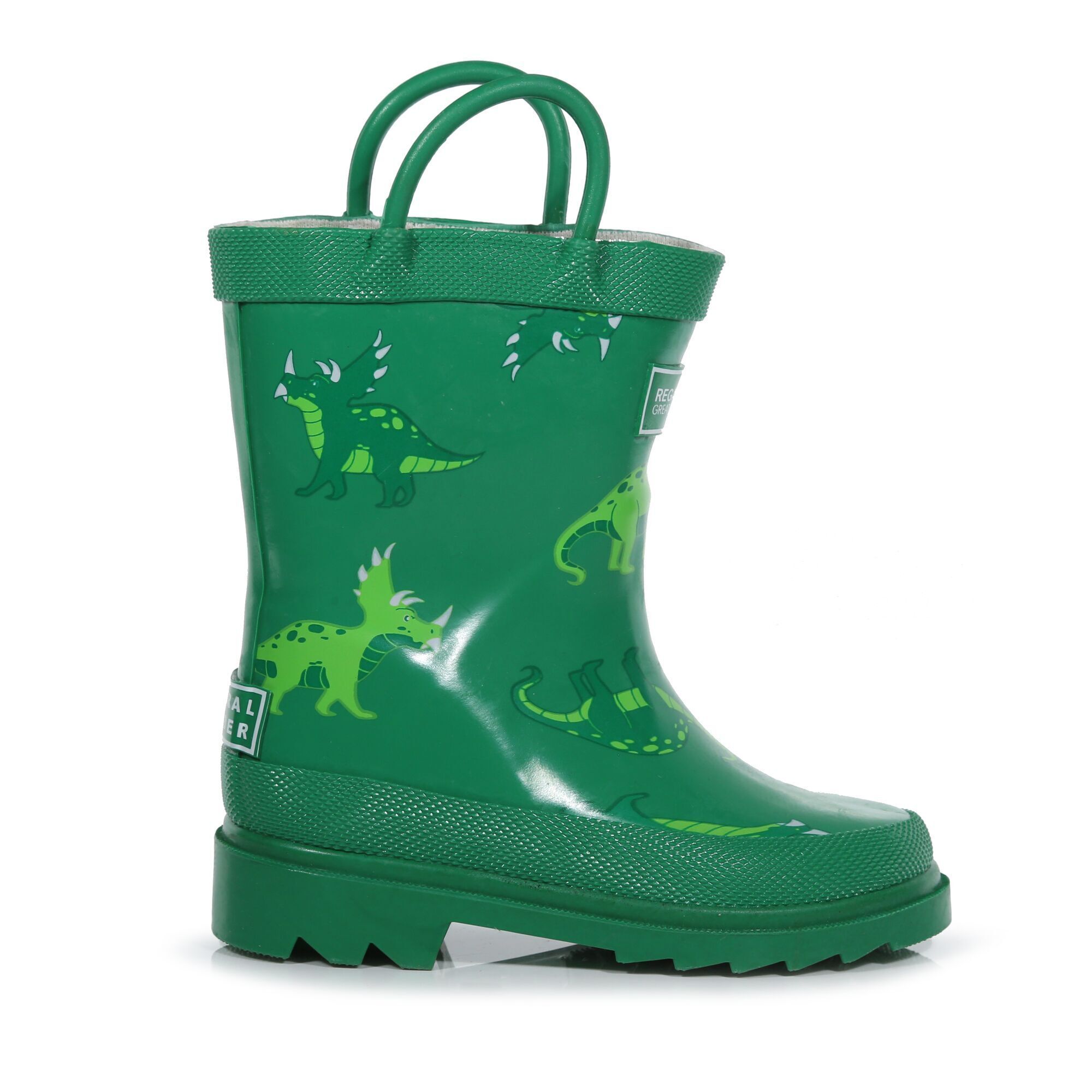  Régate de Botas De Agua Diseño Dinosaurios