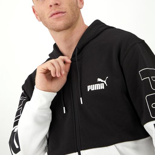  Puma galia
