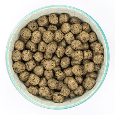 Burns Adult & Senior Sensitive Senza Cereali - Tacchino e Patate