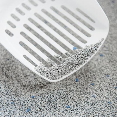 Intersand Classic ongeparfumeerde kattenbakvulling