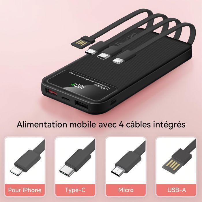 Batterie Externe Noire 20000mAh avec 4 Câbles Intégrés, 6 Sorties, 3 Entrées et Affichage LED, Power Bank Portable
