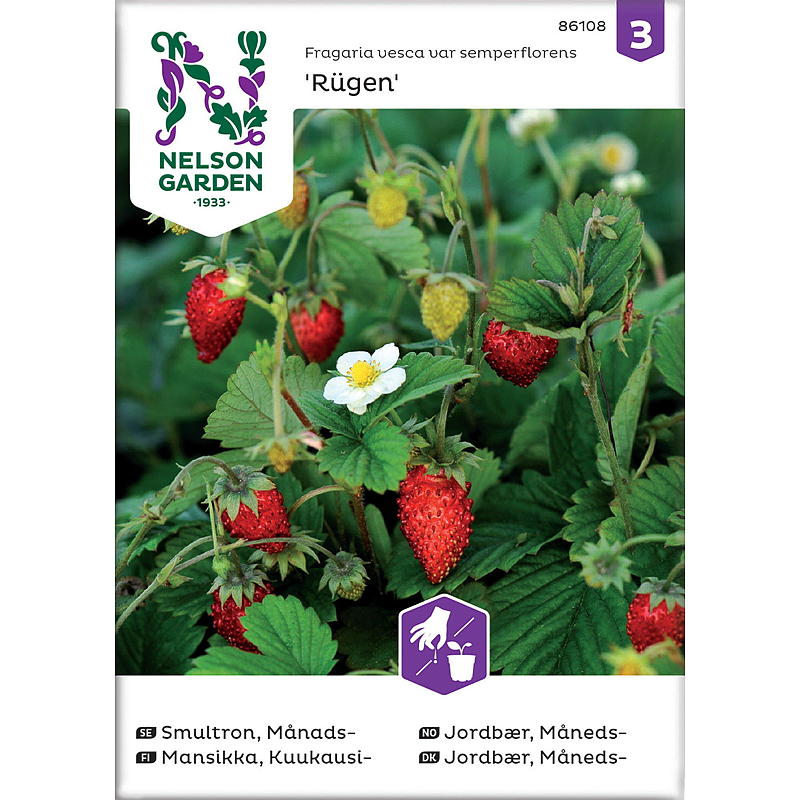 Nelson Garden Seeds Strawberry Monthly, Rügen