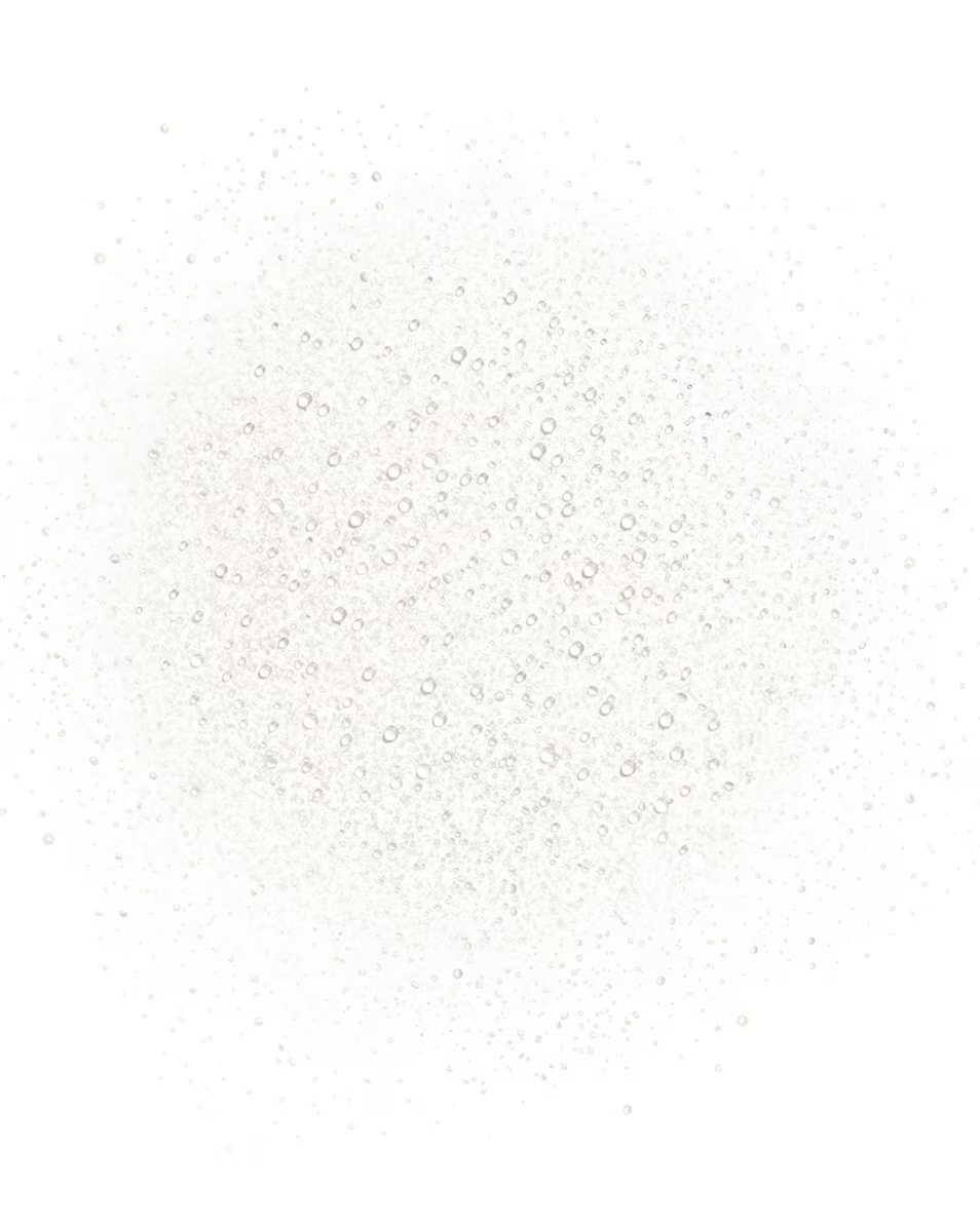 CHANEL BLEU DE CHANEL VISO PURŠKAMAS
