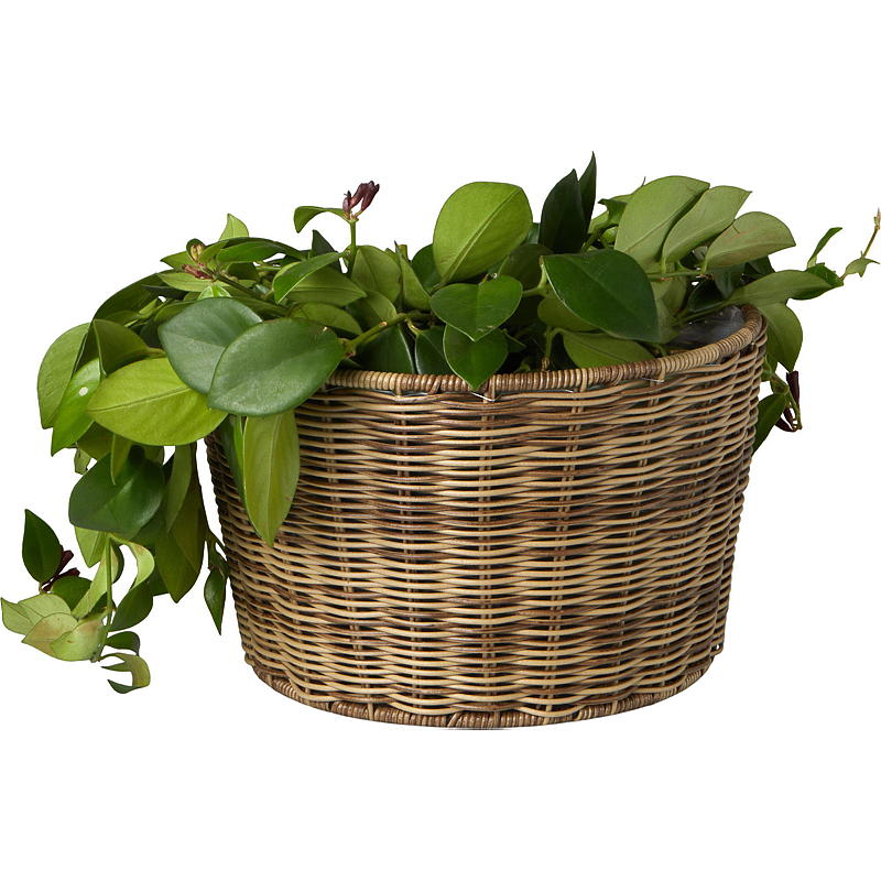 Hjem Vægpotte 30x18 cm, brun, Hageby