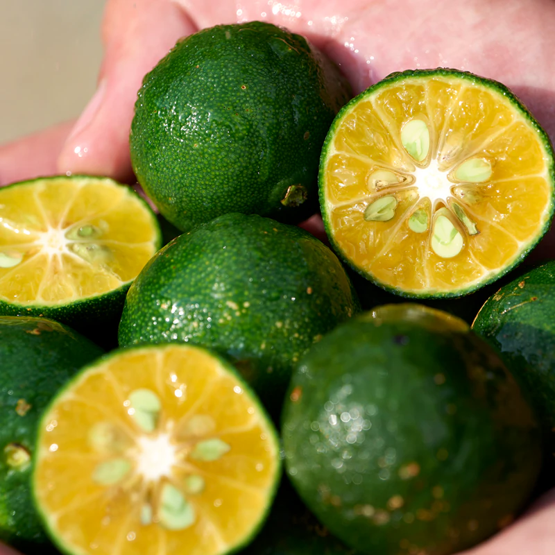 Shiseido Waso Shikulime Reinigende gezichtsgel