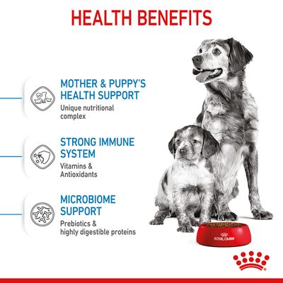 Royal Canin Medium Starter Mor & Babydog