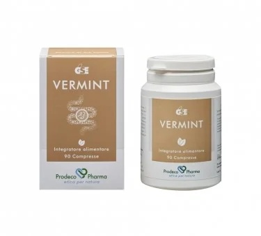 GSE Gse Vermint 90 comprimidos para el bienestar intestinal