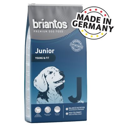 Briantos Junior