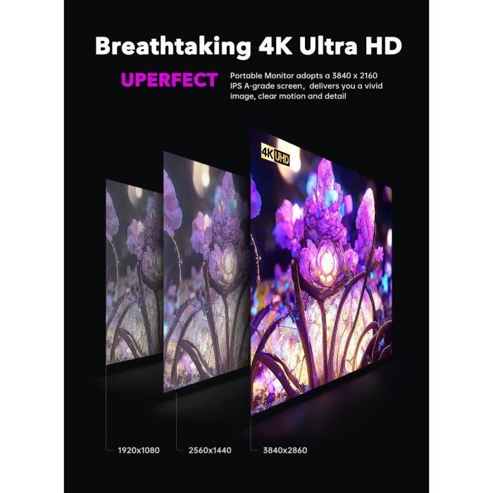 17.3 Inch 4K 3840*2160 UHD Portable Monitor with HDMI, USB-C, and IPS Display