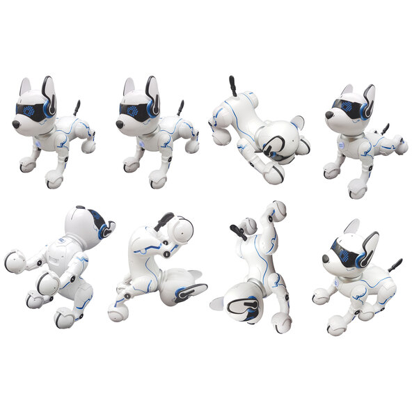 Power Puppy, robot dog with programming function