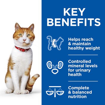 Hill's Science Plan Adult Sterilised Healthy Cuisine med kyckling och lax