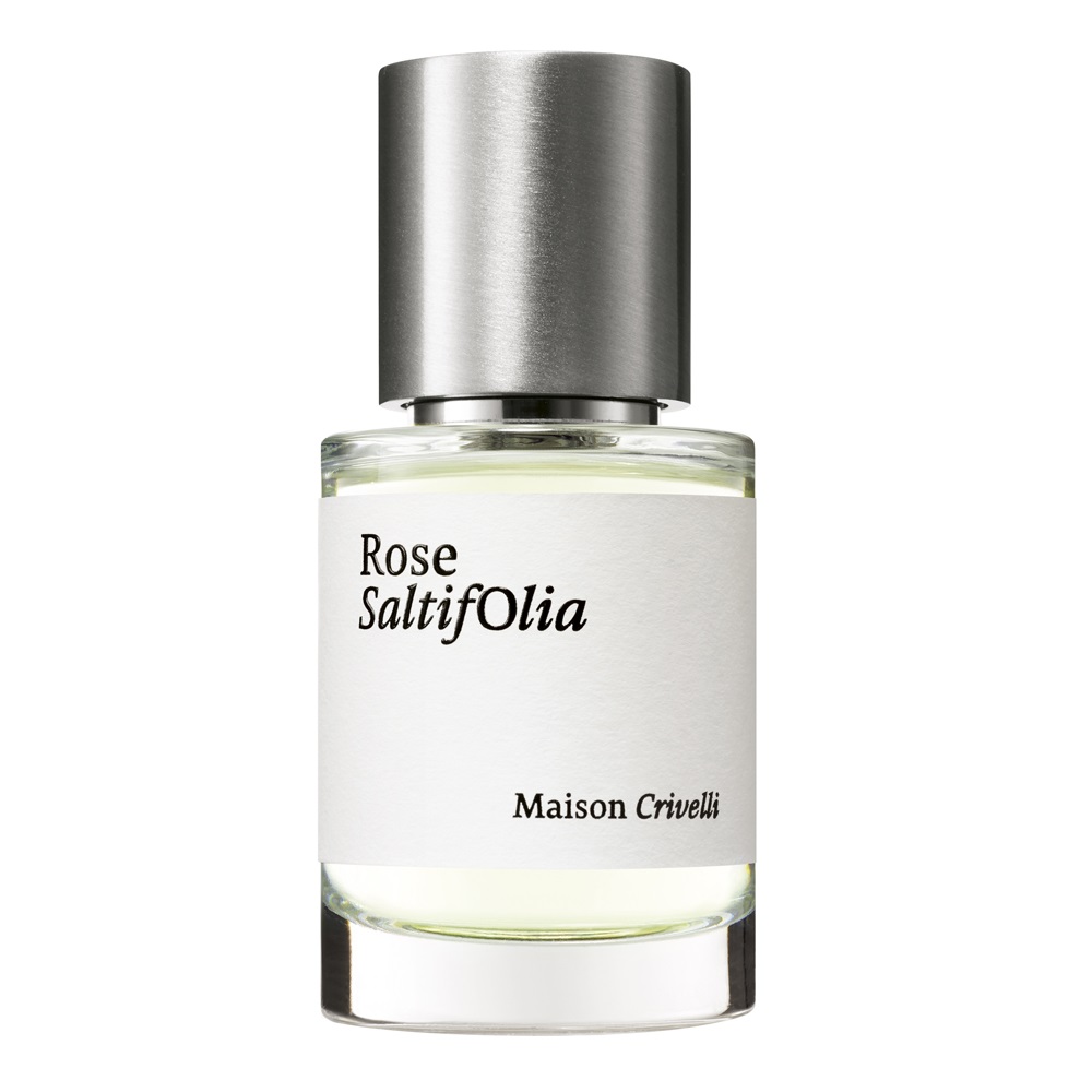Maison Crivelli Rose Saltifolia