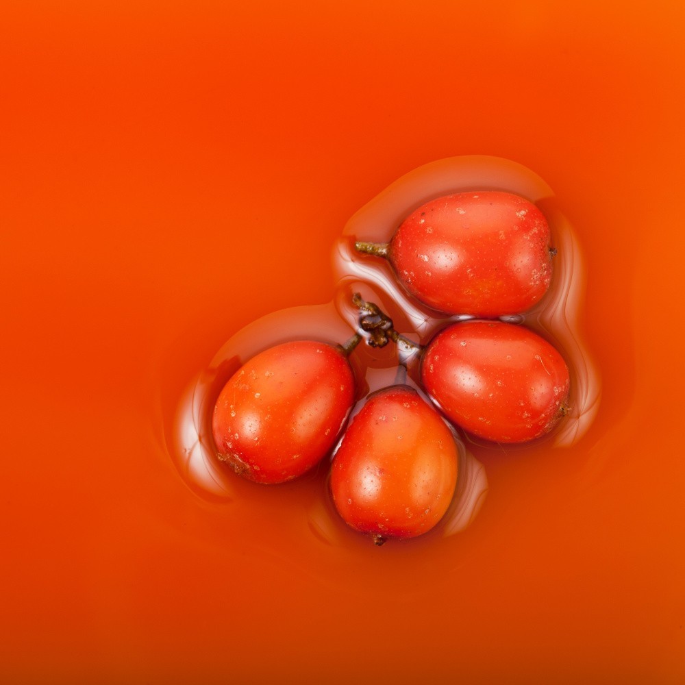 Oblepikha Siberica Lait pour le corps à l'Argousier Nutrition & Hydratation