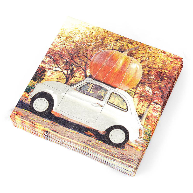 Vie Eco -lautasliinat 20 kpl 33x33 cm