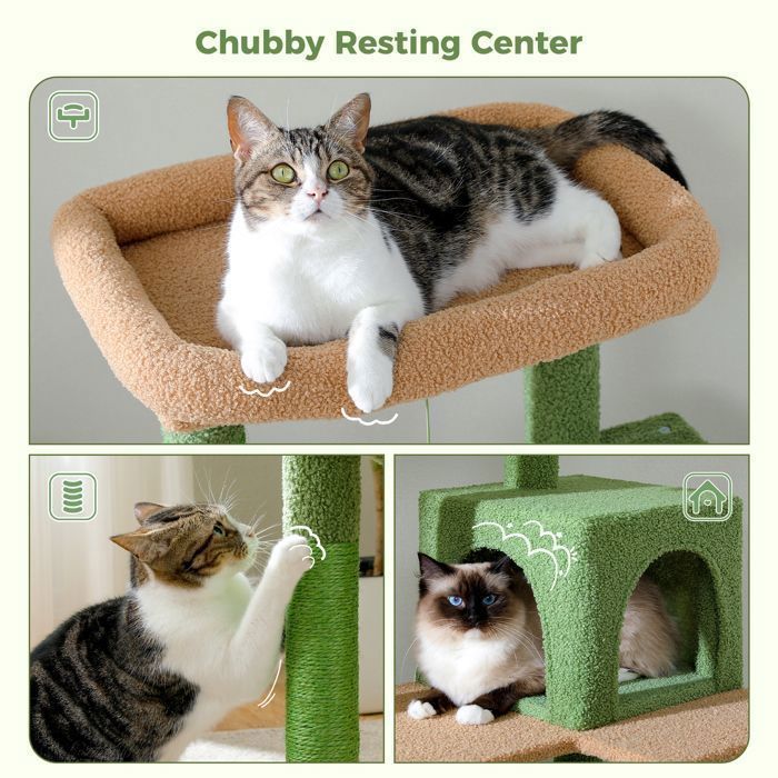 PAWZ Road Krabpaal, Ruim Ontwerp, Grote, Stevige Hangmat met Hangmat en Mooi Kattenhuis - Groene Cactus - 143 cm