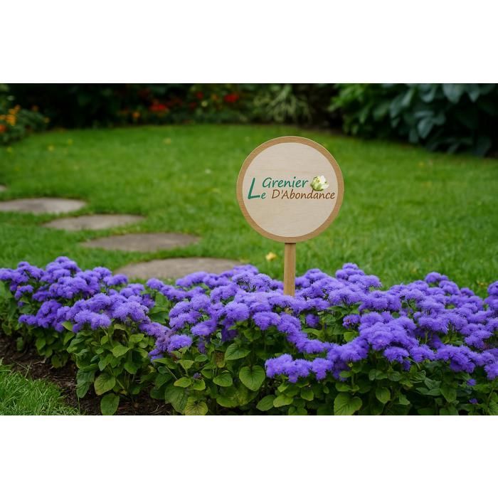 300 semillas para sembrar - Le Grenier d'Abondance - Hierba gatera azul - Ageratum houstonianum