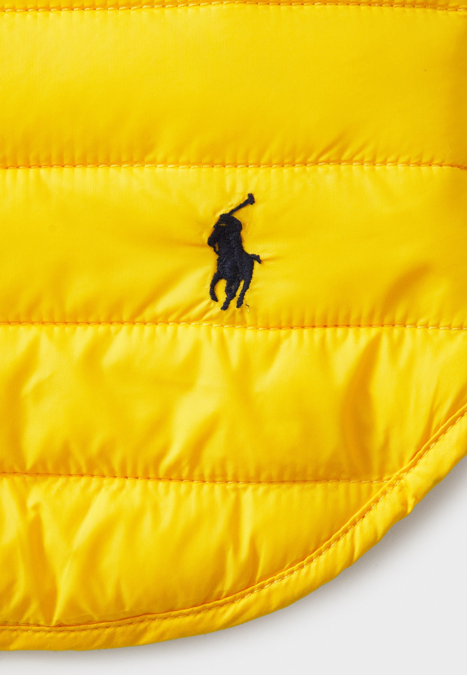 Polo Ralph Lauren Pet