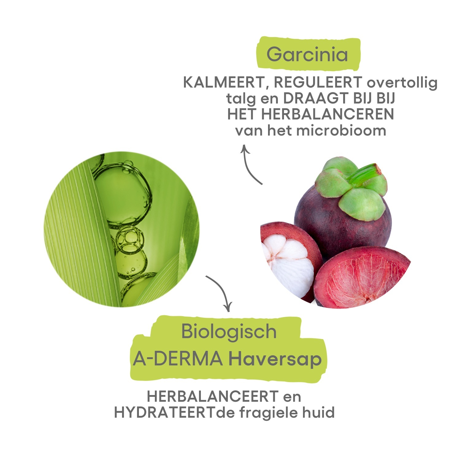 A-DERMA Biology AC Hydra Balancing Cream veido kremas - 40 ml