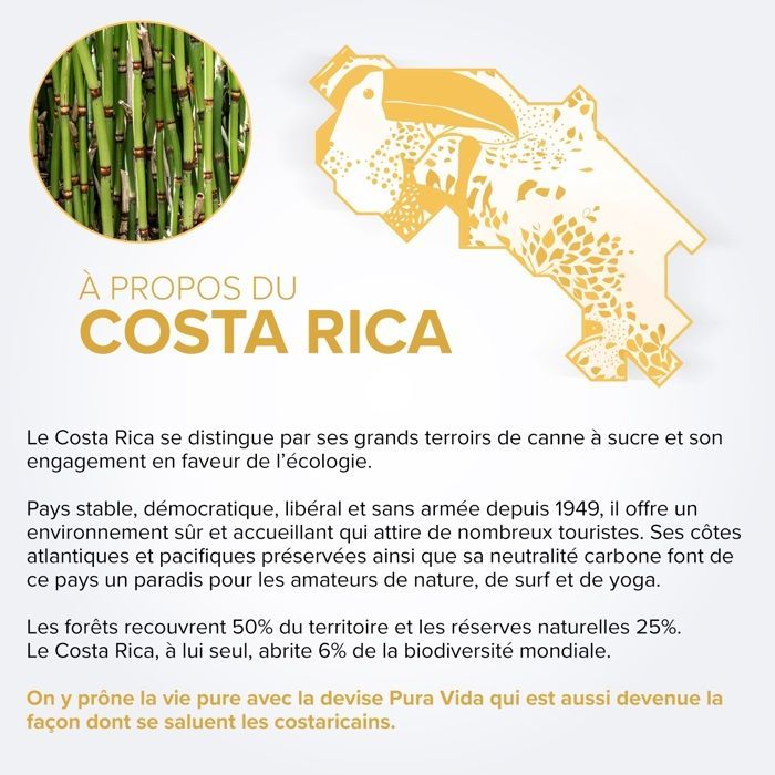 PURA VIDA - XO - Aged Rum - 40.0% ABV - 70 cl