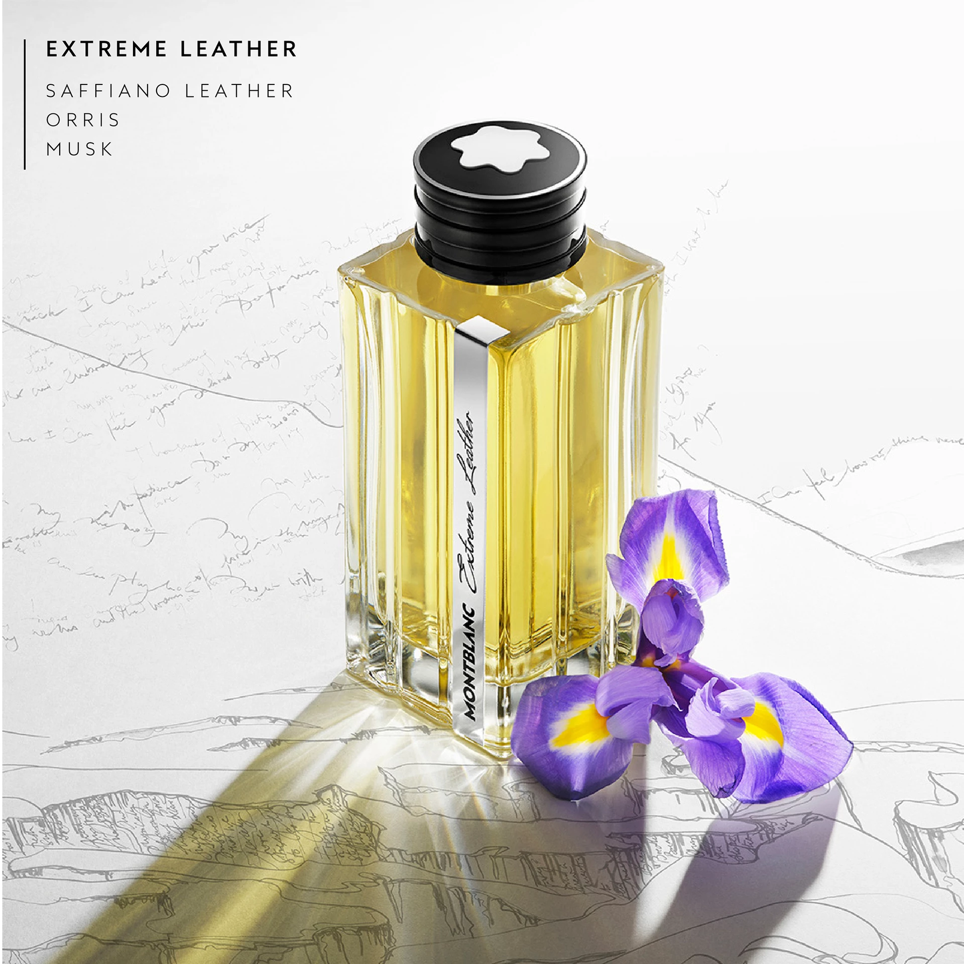 Mont Blanc Extreme Leather EDT 125 ml