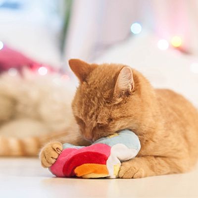 Aumüller Regenboog Hart Kattenspeeltje