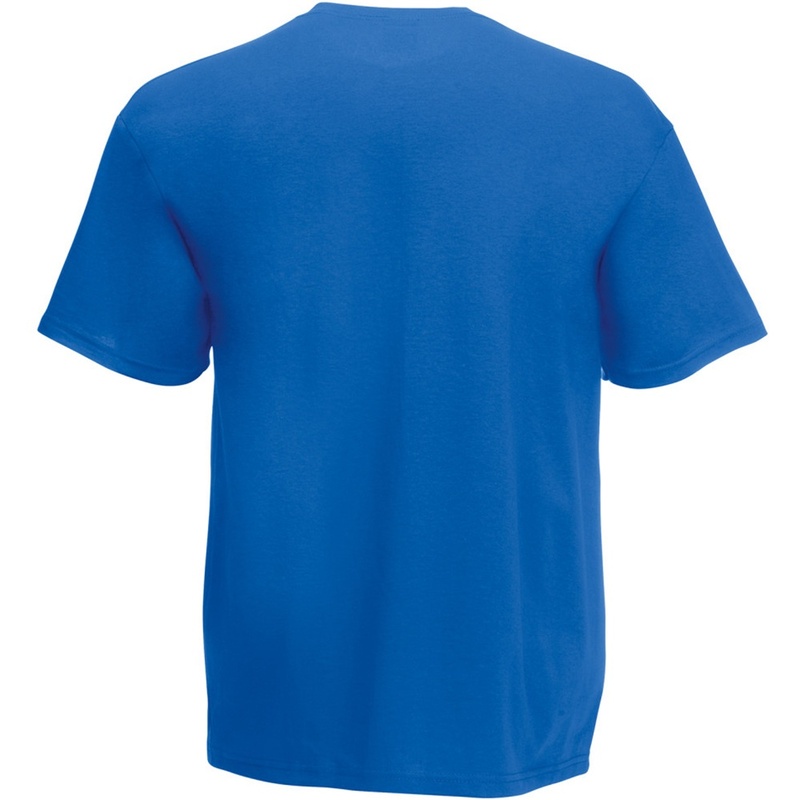 Camiseta básica masculina Fruit Of The Loom de alta qualidade, manga curta e decote em V (azul)