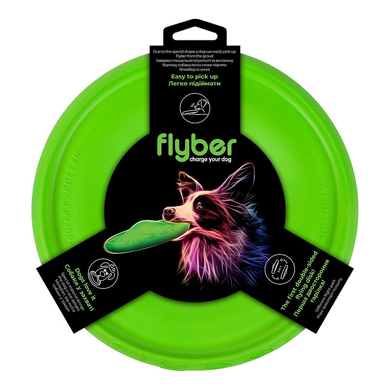 Hundeleke frisbee