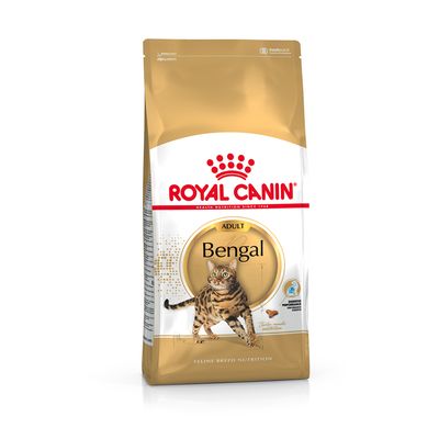 Royal Canin Bengal Adulto