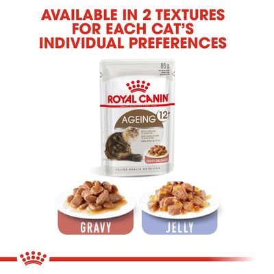Royal Canin Ageing 12+ in Soße