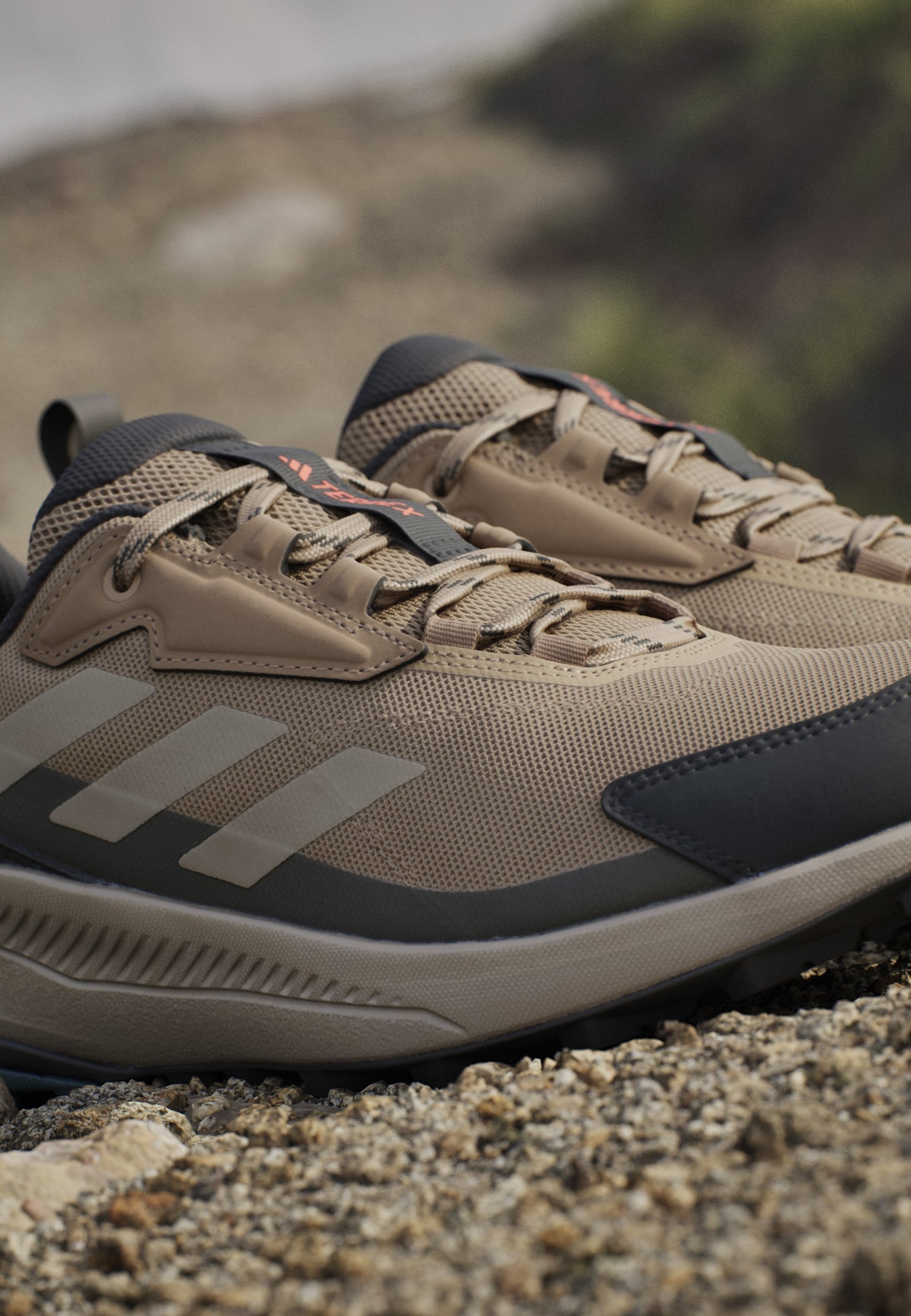 Adidas Terrex ANYLANDER - Klimschoenen - karton wit cargo schaduw olijf