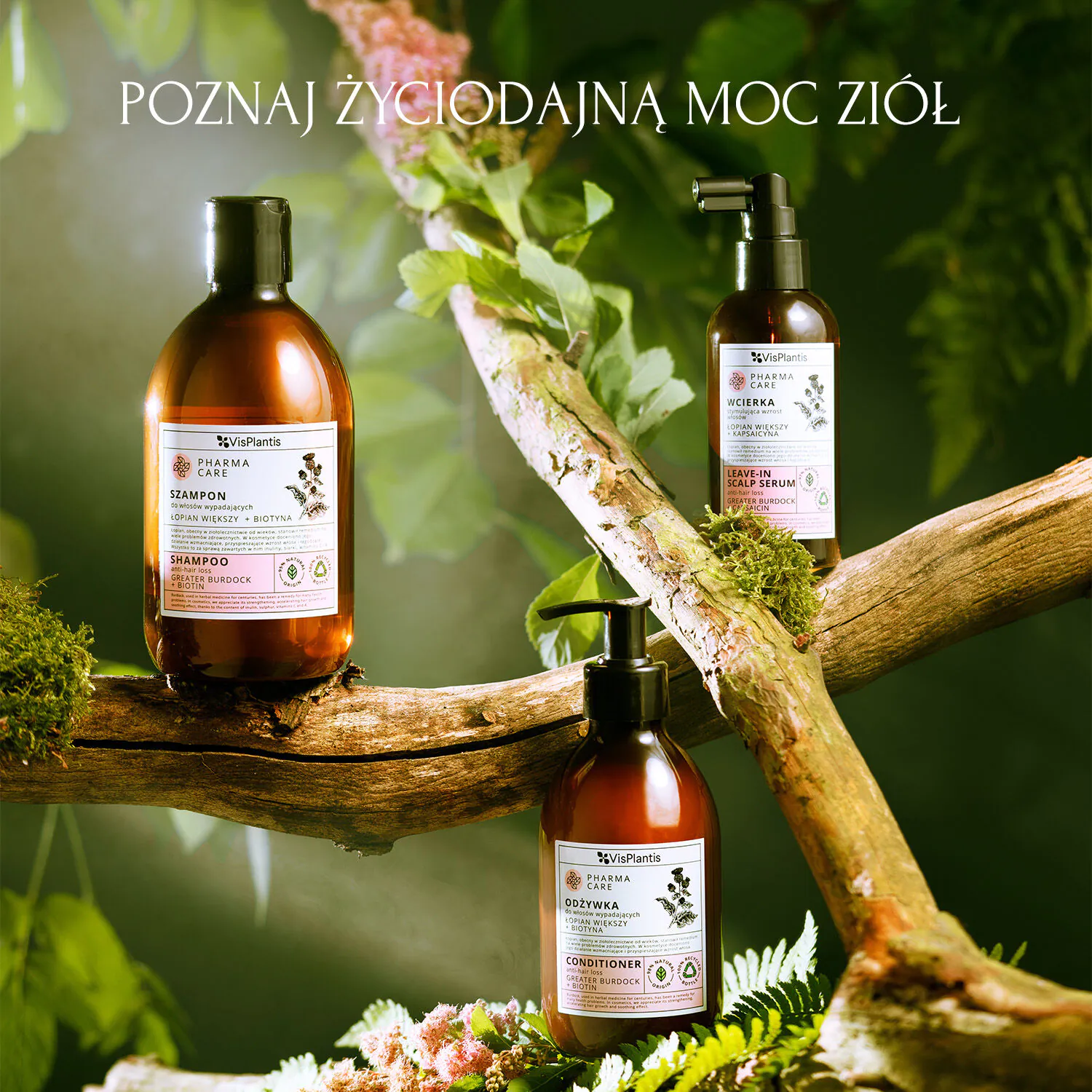 Vis Plantis Pharma Care Odżywka do włosów wypadających z łopianem i biotyną