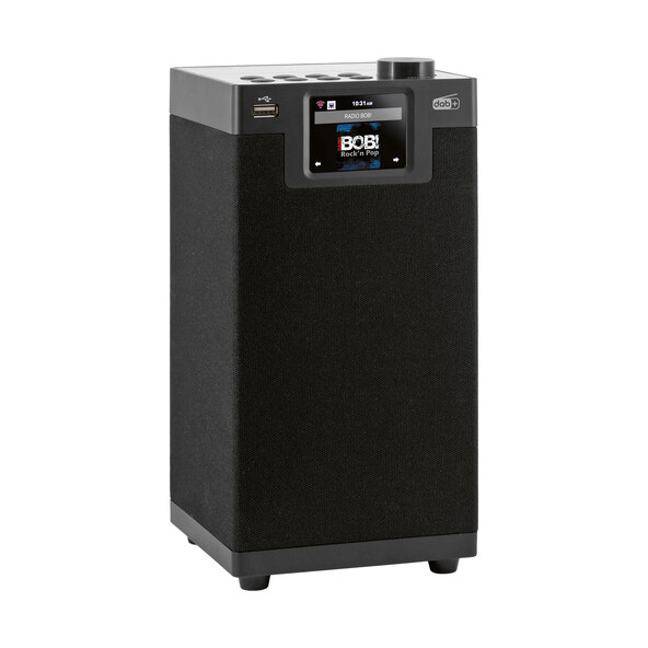 Multifunctionele radio DABMAN i610