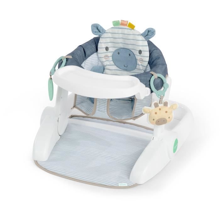 INGENUITY Casi de Zebra, Baby Leerstoel - biedt ondersteuning voor de baby, babycadeau
