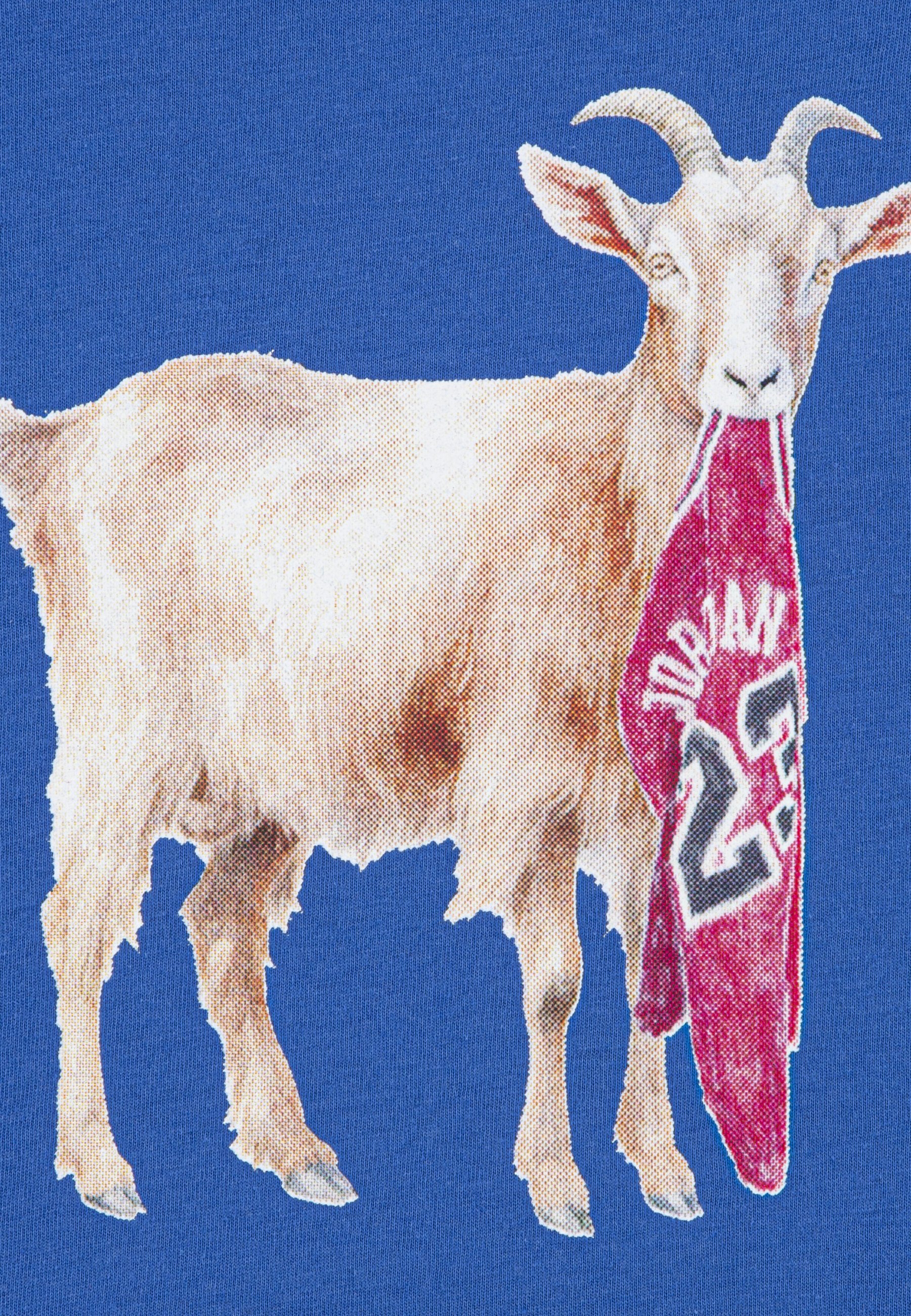 Jordan GOAT CREW - T-shirt imprimé - bleu chiné