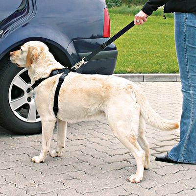 Trixie Hundesele til bilen