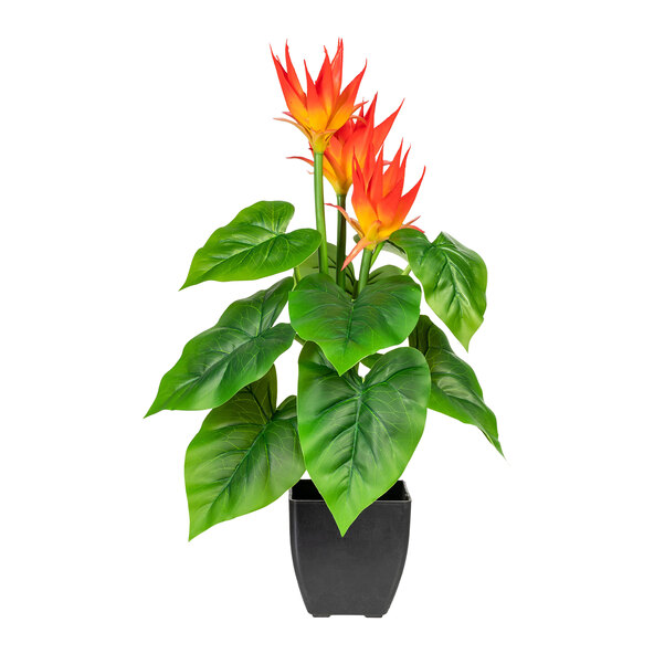 Τεχνητή Guzmania σε πλαστική γλάστρα, 58 cm
